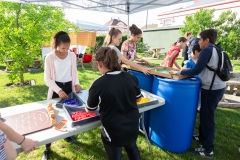 Festival La Plaine Débouchée - 1er juin 2018